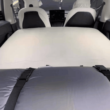 Cybertruck Stargazer Self-Inflating Memory Foam Mattress,  Pump & Bag.  Free USA Ground Shipping