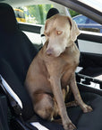 Tesla SEXYC Seat Covers - Black (1 Pair)