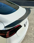2017-2023 | Model 3 Colossal Rear Wing Spoiler - Real Molded Carbon Fiber