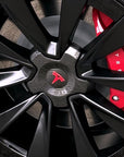 Model X - 22" Turbine Center Wheel Hubs - Real Molded Carbon Fiber- (Set of 4)