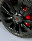 Model X - 22" Turbine Center Wheel Hubs - Real Molded Carbon Fiber- (Set of 4)