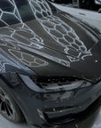 2021+ | Model X Viento Robot Hood - Dual Layer with Xpel Clear Bra- Dry Molded Carbon Fiber