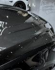 2021+ | Model X Viento Robot Hood - Dual Layer with Xpel Clear Bra- Dry Molded Carbon Fiber