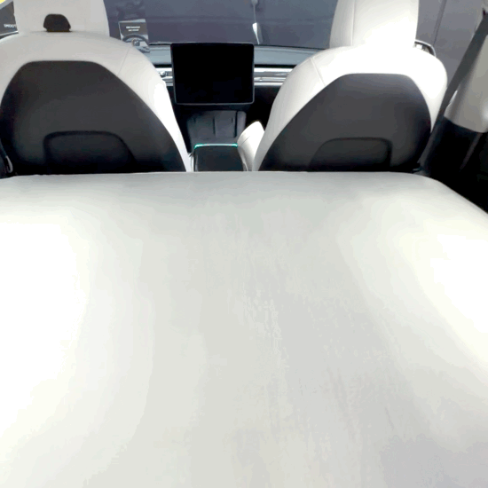 Cybertruck Stargazer Self-Inflating Memory Foam Mattress,  Pump & Bag.  Free USA Ground Shipping