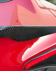Model S Jupiter Spoiler - Real Molded Carbon Fiber