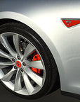 Turn Signal Indicator 3M Vinyl Wrap - Inside Wrap Type for AP 1 Only (1 Pair)