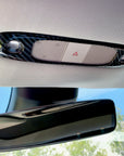 Model 3 Dome Light Covers (2 piece) - Variety*
