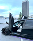 Model 3 Scissor Doors Conversion Kit from Vertical Doors