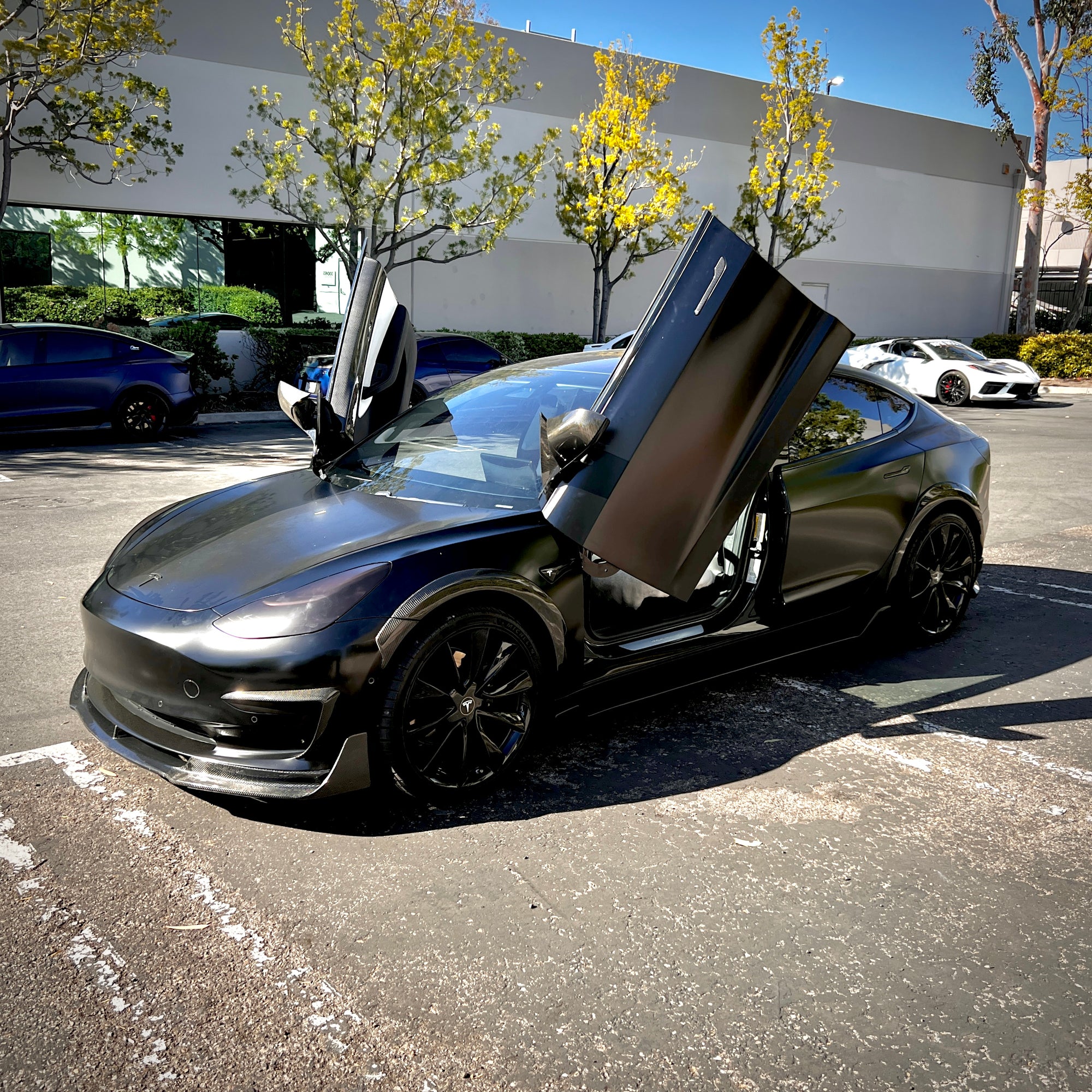 Model 3 Scissor Doors Conversion Kit from Vertical Doors