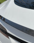 Model S Plaid Performance Spoiler - Real Molded Carbon Fiber