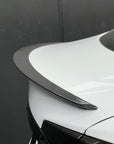 Model S Plaid Performance Spoiler - Real Molded Carbon Fiber