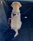 Backseat Pet Cover with Leash