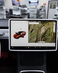 Model 3 & Y Display Screen Frame Protector - Black or White