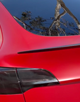 2020-2025 | Model Y Performance Spoiler ABS Plastic - Variety*