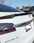 Model S Jupiter Spoiler - Real Molded Carbon Fiber