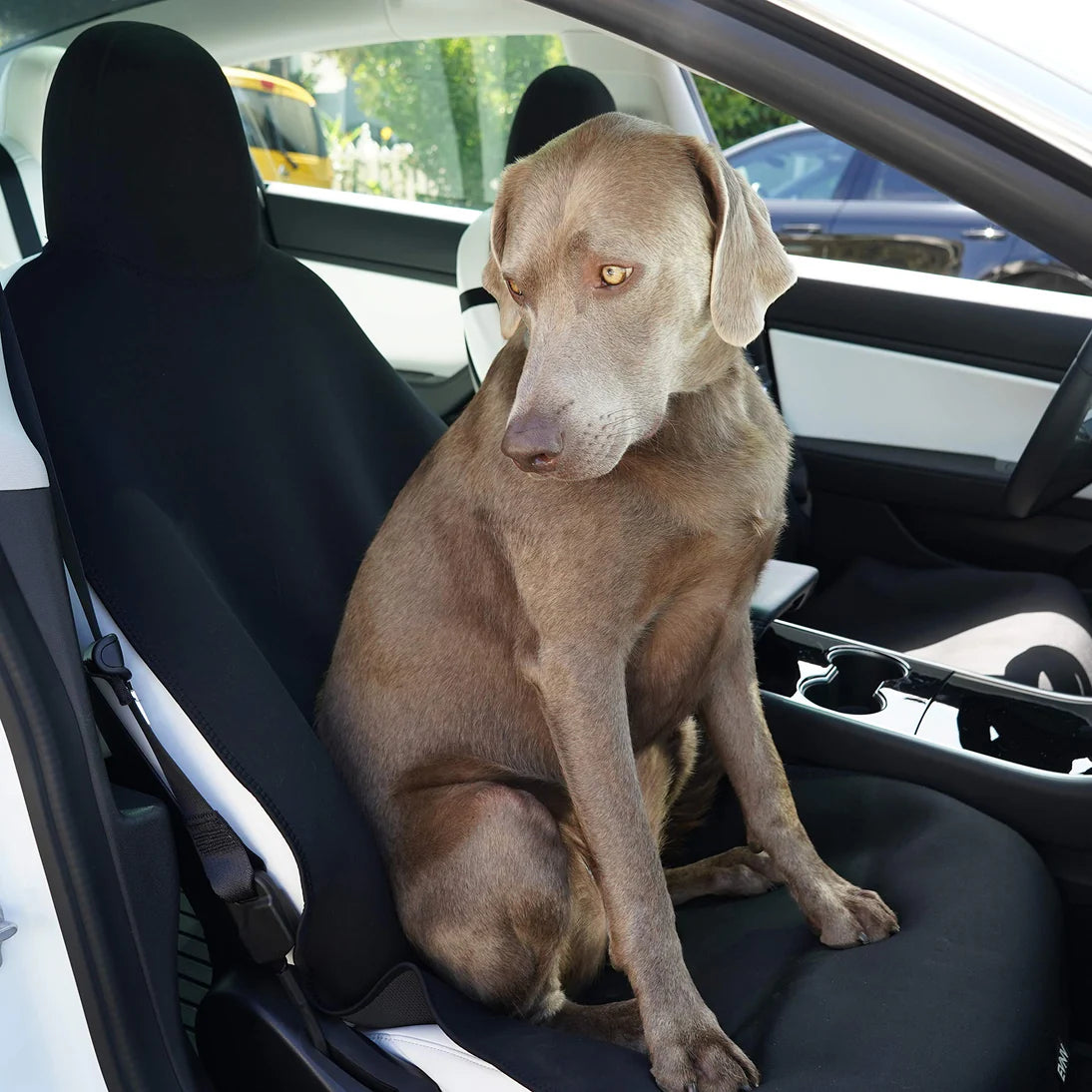 Tesla SEXYC Seat Covers - Black (1 Pair)
