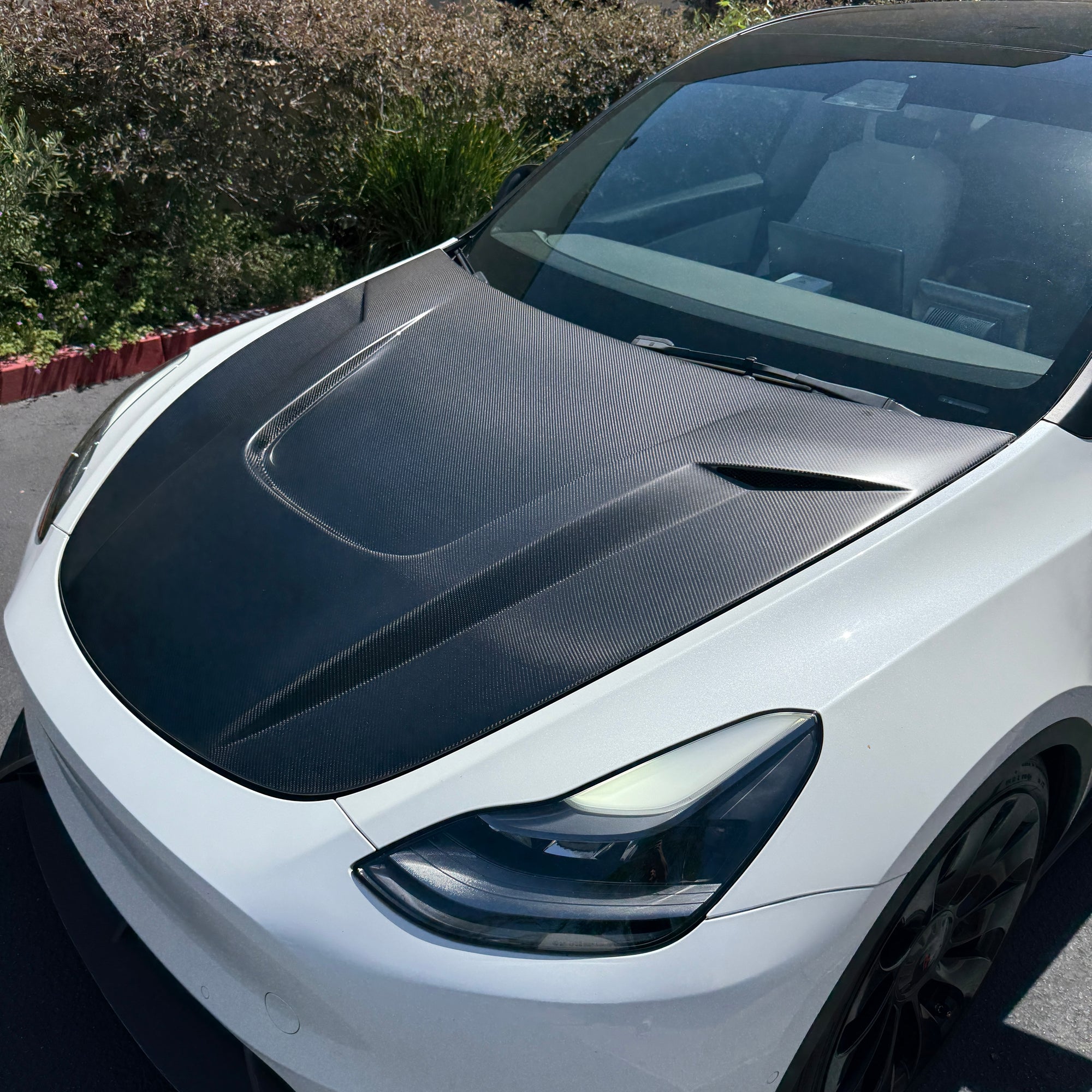 2020-2025 | Model Y Viento Robot Hood - Dual Layer with Xpel Clear Bra- Real Molded Carbon Fiber