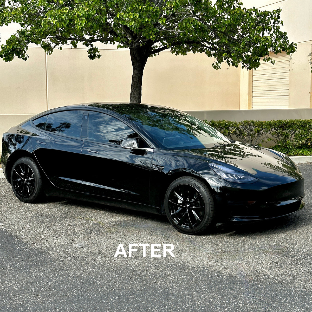 2017-2023 | Model 3 18