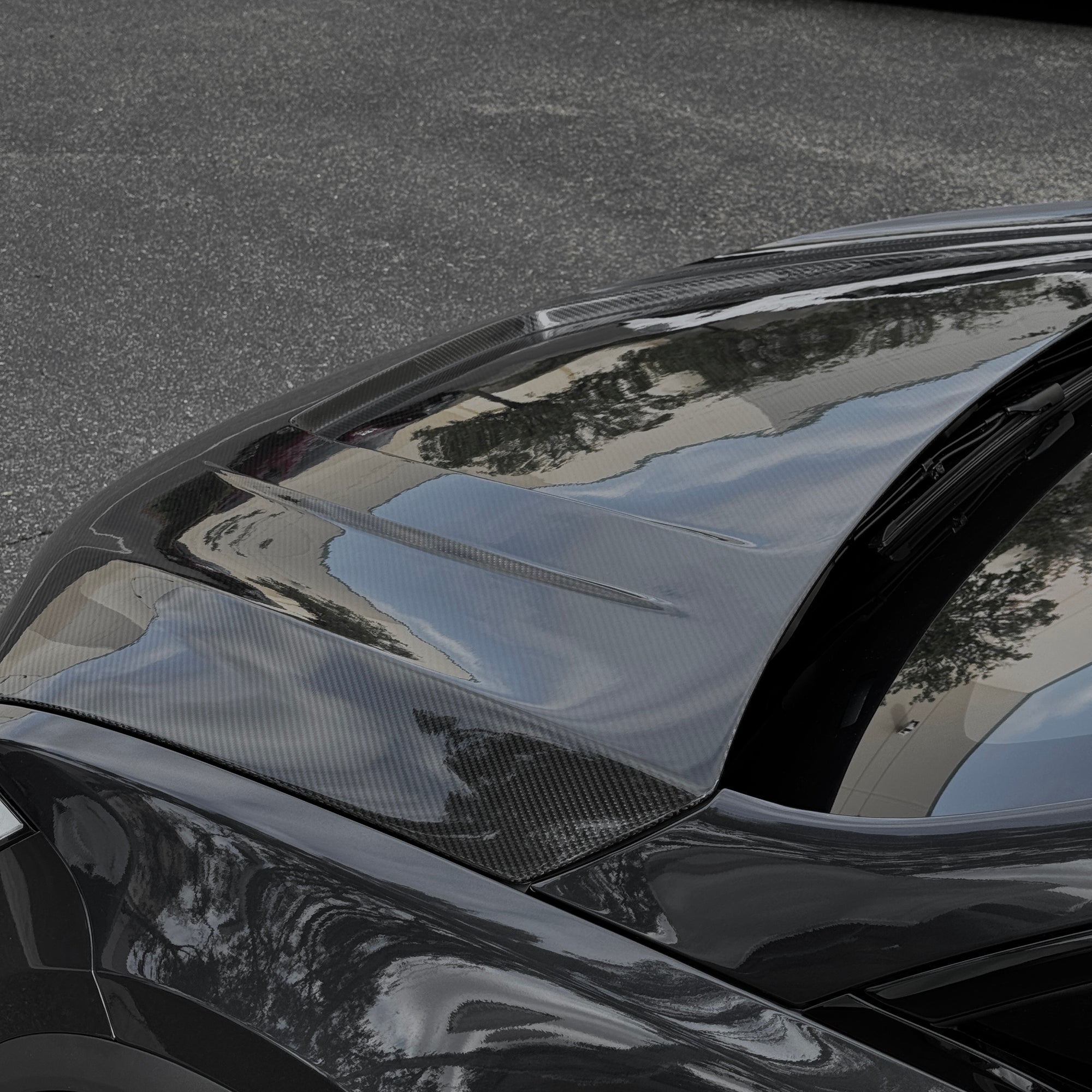 2017+ | Model X Viento Robot Hood - Dual Layer with Xpel Clear Bra- Dry Molded Carbon Fiber