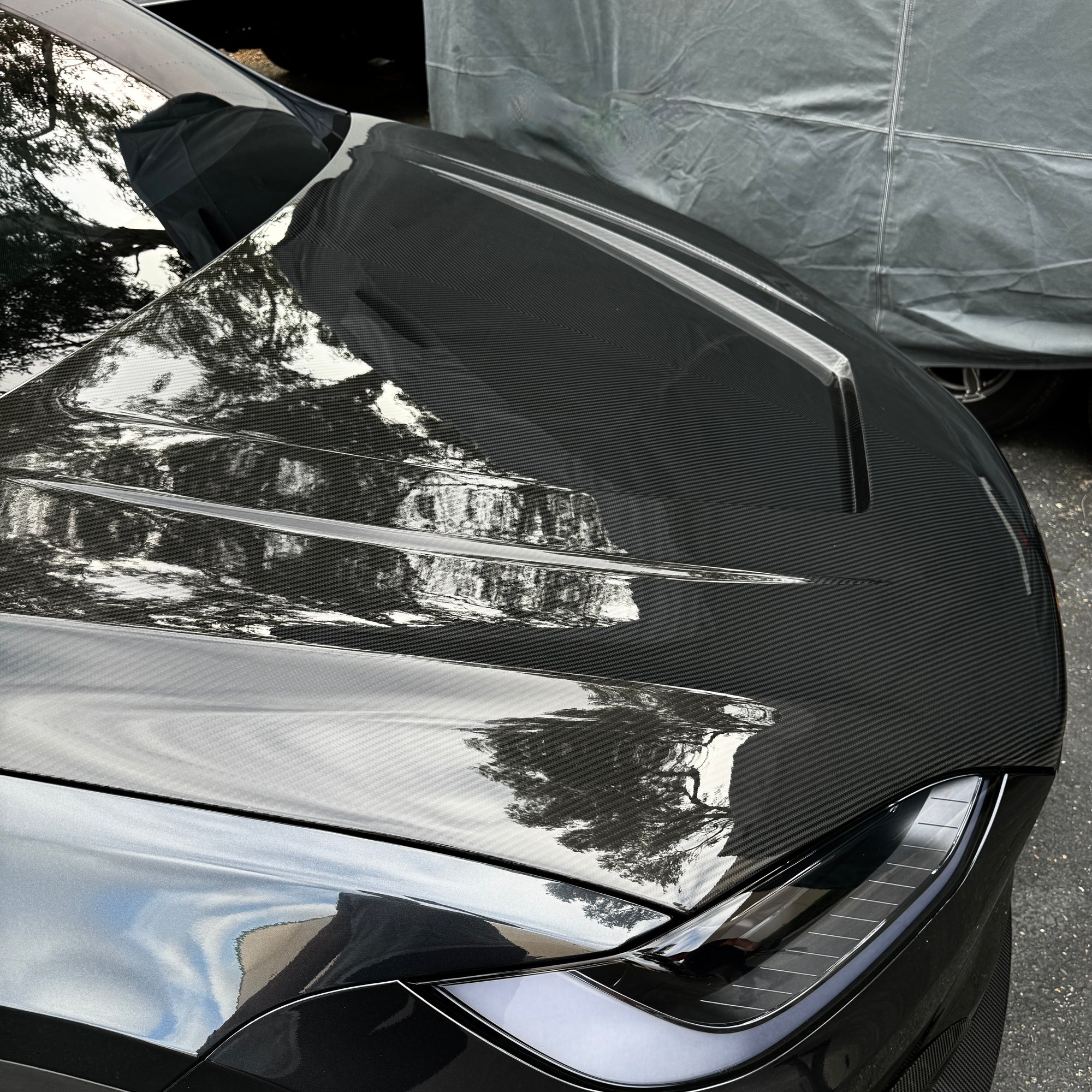 2017+ | Model X Viento Robot Hood - Dual Layer with Xpel Clear Bra- Dry Molded Carbon Fiber