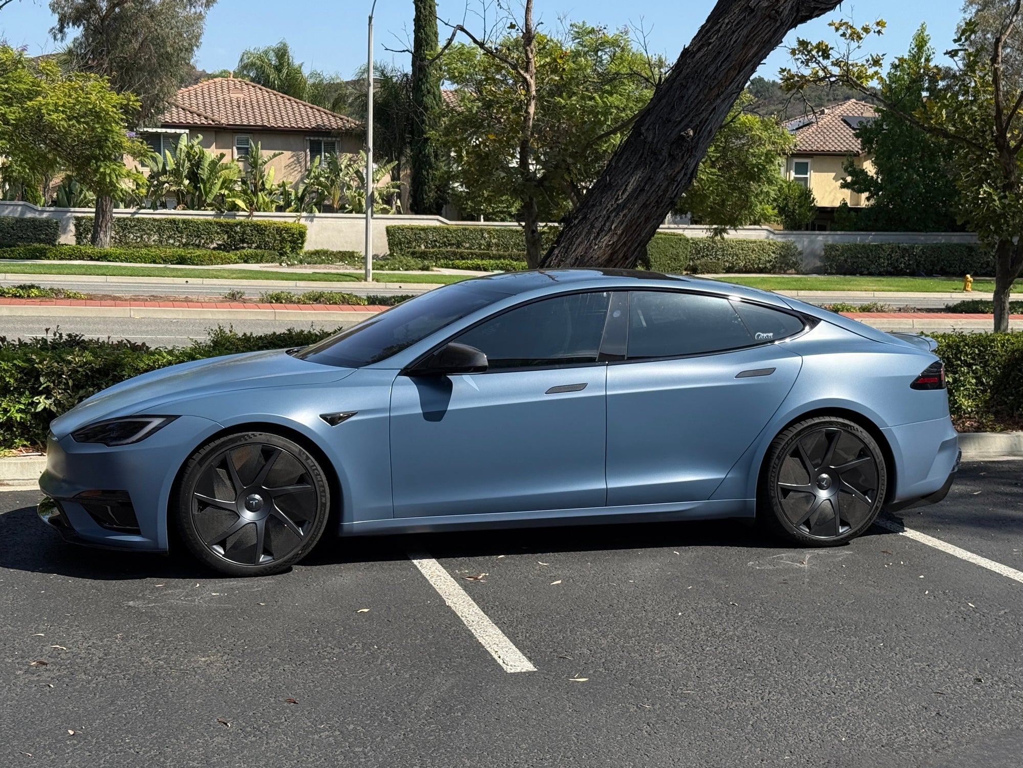 Blue Tesla Model S parked on a street with trees and houses in the background