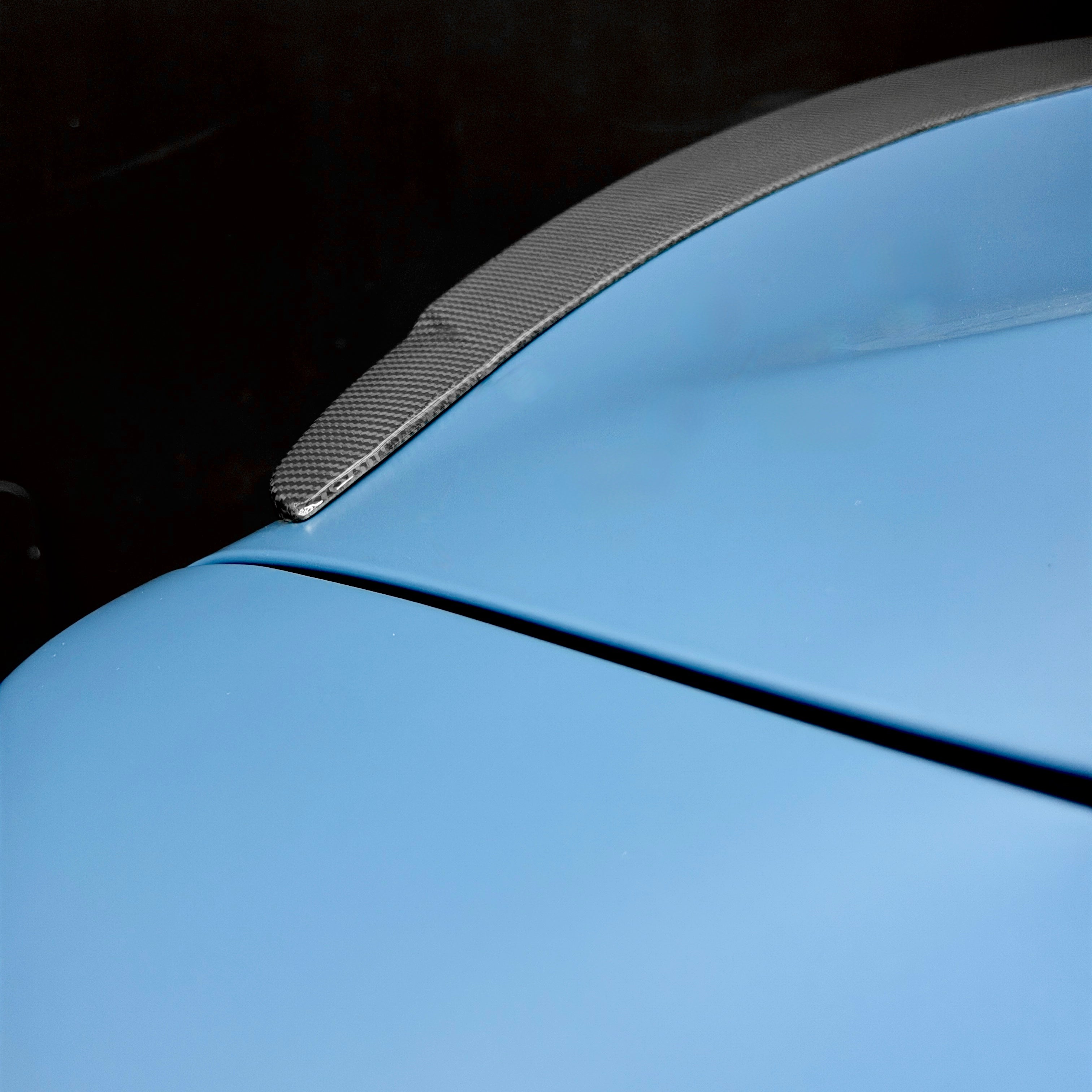 2012-2026 | Model S 2026 Plaid Curved Style Spoiler - Real Dry