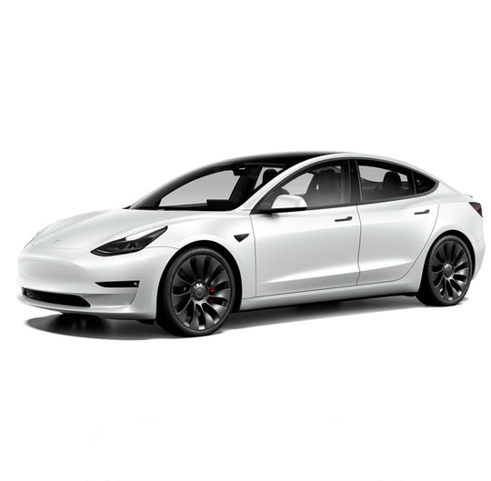 MODEL 3