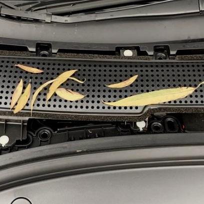 2017-2020 | Model 3 Intake Air Cabin Debris Filter