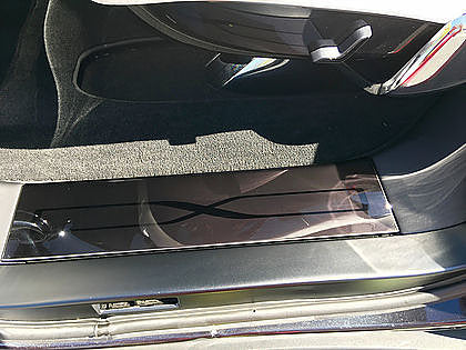 Model X Rear Door Sill Protectors, 3M (1 Pair)