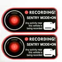 Sentry Mode Recording Window Sticker ( 1 Pair )