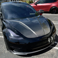 Model 3 Viento Shark Tooth Hood - Dual Layer with Xpel Clear Bra- Real Molded Carbon Fiber