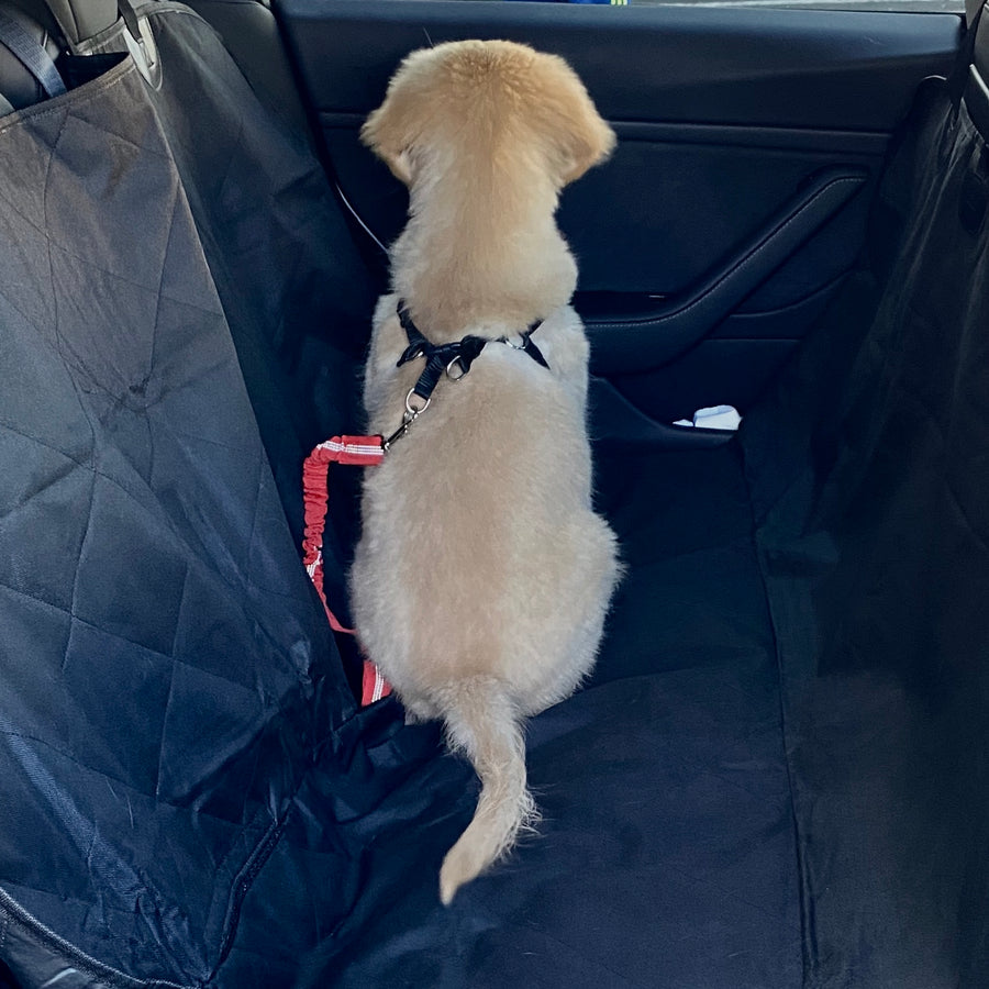 Backseat Pet Cover with Leash