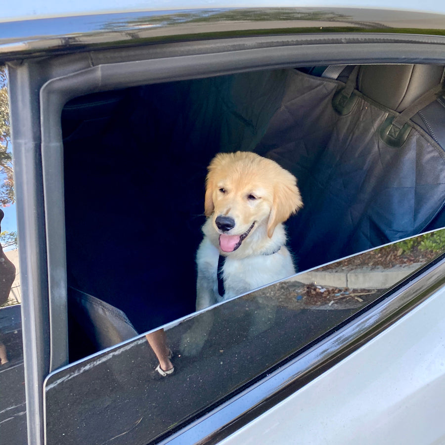 Backseat Pet Cover with Leash