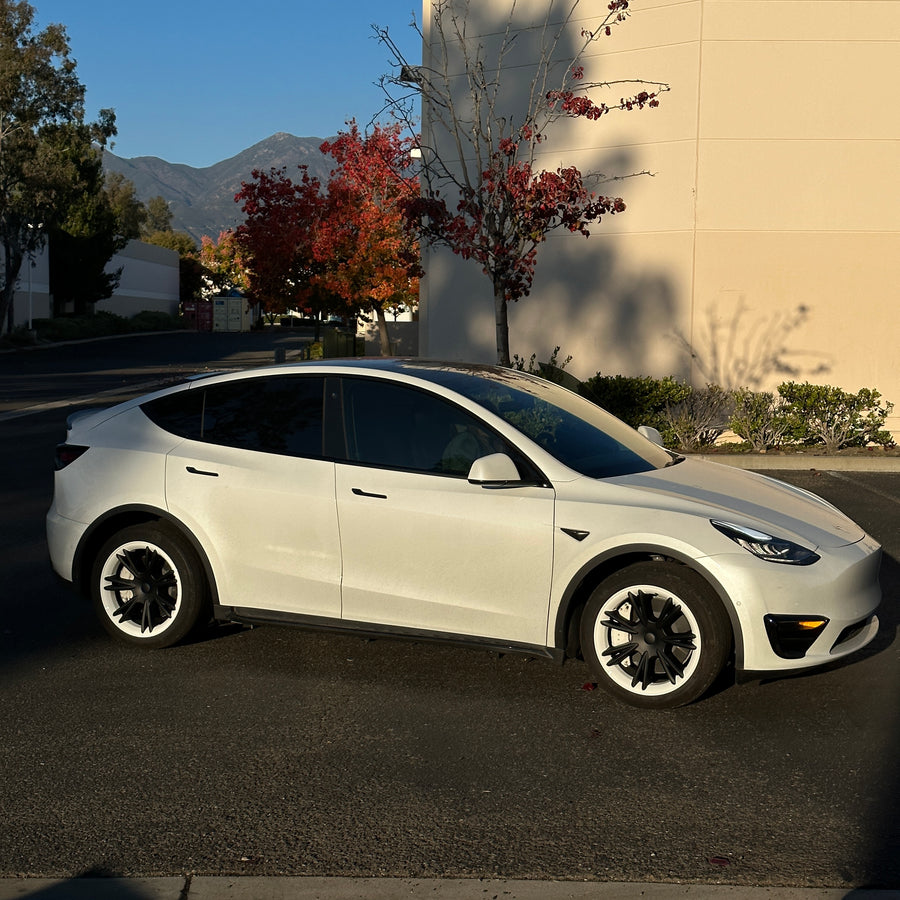 Model Y 19